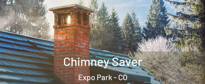 Chimney Saver Expo Park - CO