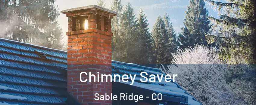 Chimney Saver Sable Ridge - CO