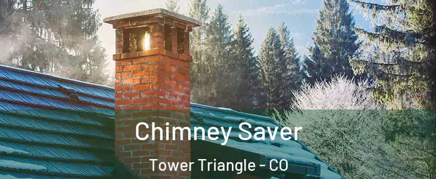 Chimney Saver Tower Triangle - CO