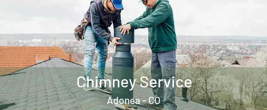 Chimney Service Adonea - CO