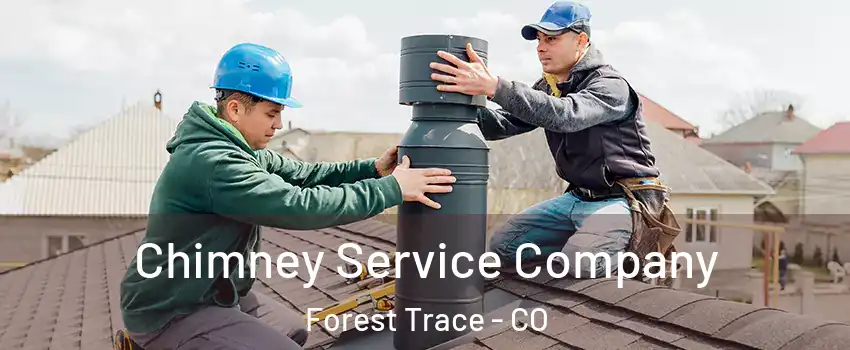 Chimney Service Company Forest Trace - CO