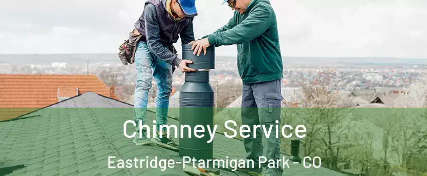 Chimney Service Eastridge-Ptarmigan Park - CO