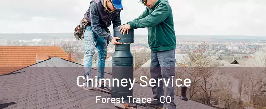 Chimney Service Forest Trace - CO