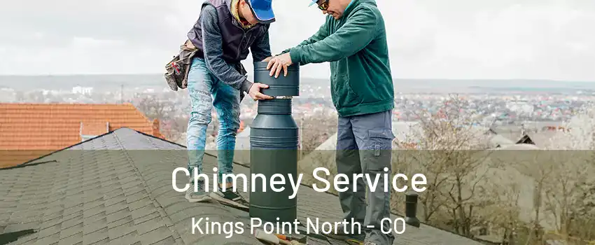 Chimney Service Kings Point North - CO