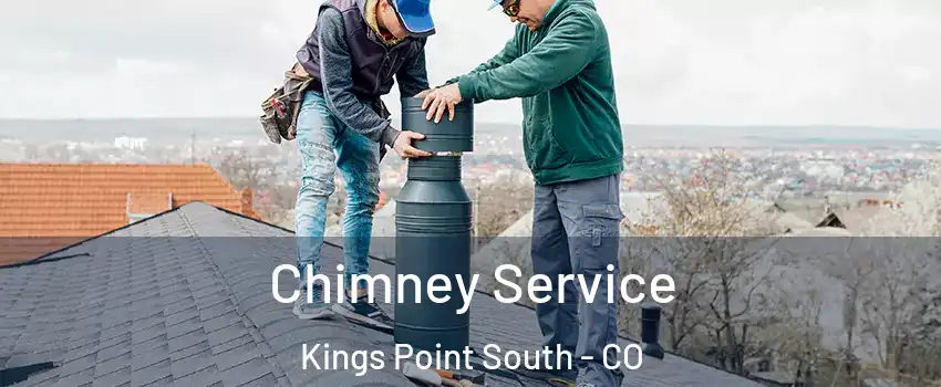 Chimney Service Kings Point South - CO