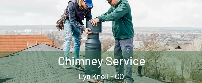 Chimney Service Lyn Knoll - CO