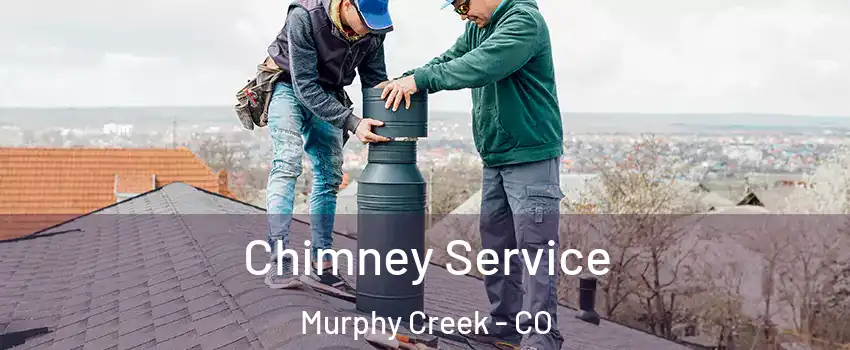 Chimney Service Murphy Creek - CO