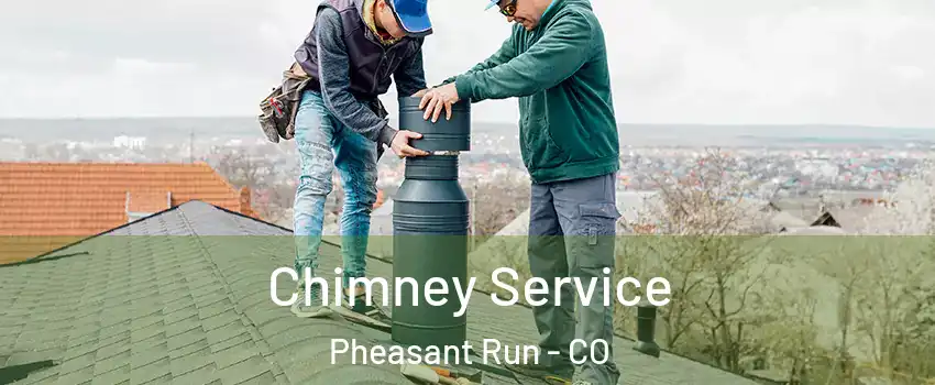 Chimney Service Pheasant Run - CO