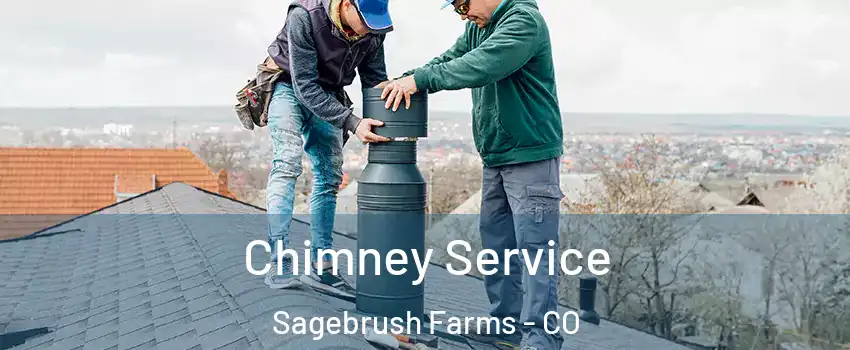 Chimney Service Sagebrush Farms - CO