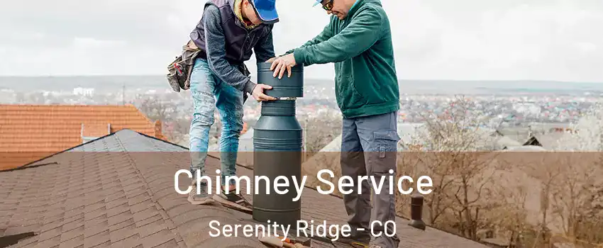 Chimney Service Serenity Ridge - CO