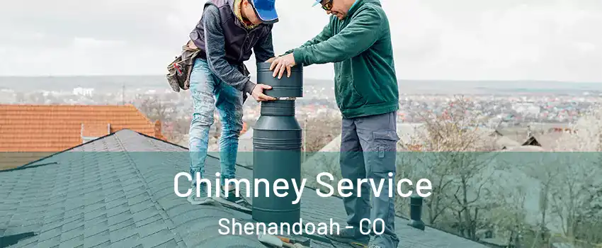 Chimney Service Shenandoah - CO