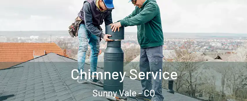 Chimney Service Sunny Vale - CO