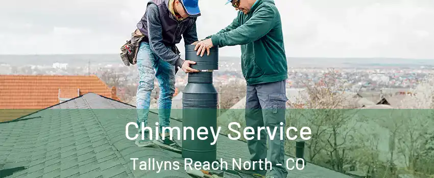 Chimney Service Tallyns Reach North - CO