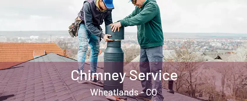 Chimney Service Wheatlands - CO