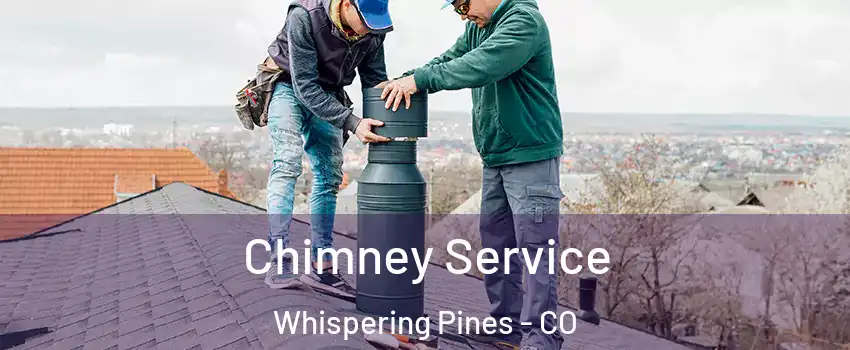 Chimney Service Whispering Pines - CO