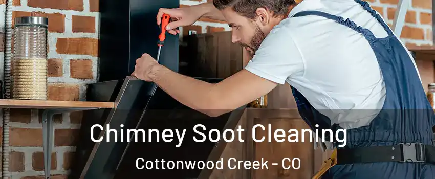 Chimney Soot Cleaning Cottonwood Creek - CO