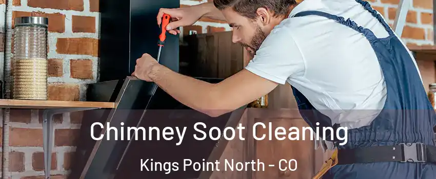 Chimney Soot Cleaning Kings Point North - CO