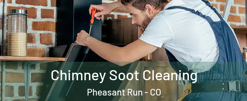 Chimney Soot Cleaning Pheasant Run - CO