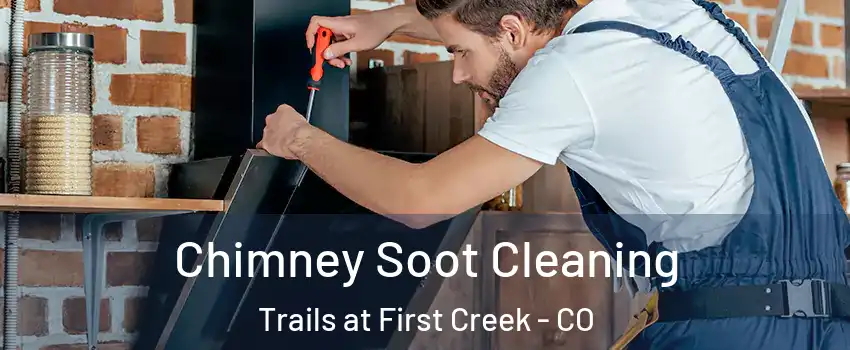 Chimney Soot Cleaning Trails at First Creek - CO