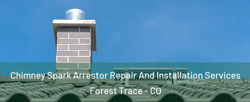 Chimney Spark Arrestor Repair And Installation Services Forest Trace - CO