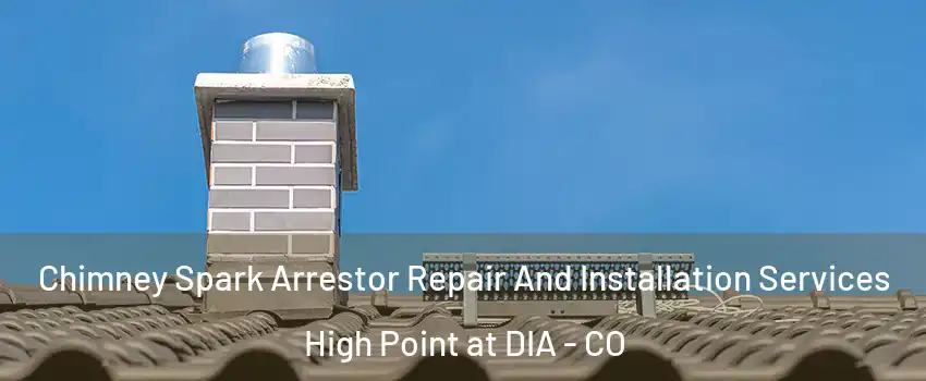 Chimney Spark Arrestor Repair And Installation Services High Point at DIA - CO