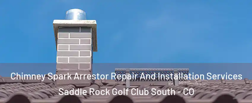 Chimney Spark Arrestor Repair And Installation Services Saddle Rock Golf Club South - CO