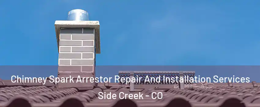 Chimney Spark Arrestor Repair And Installation Services Side Creek - CO