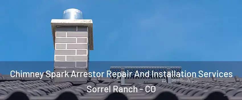 Chimney Spark Arrestor Repair And Installation Services Sorrel Ranch - CO