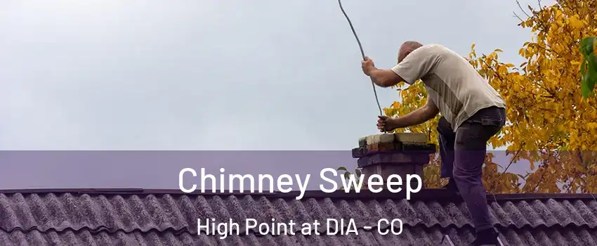 Chimney Sweep High Point at DIA - CO