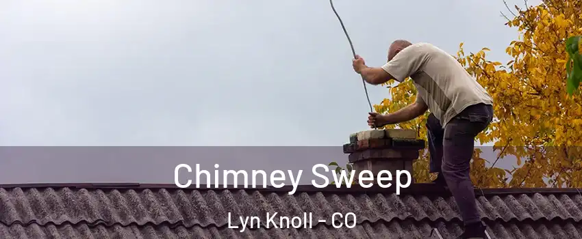 Chimney Sweep Lyn Knoll - CO