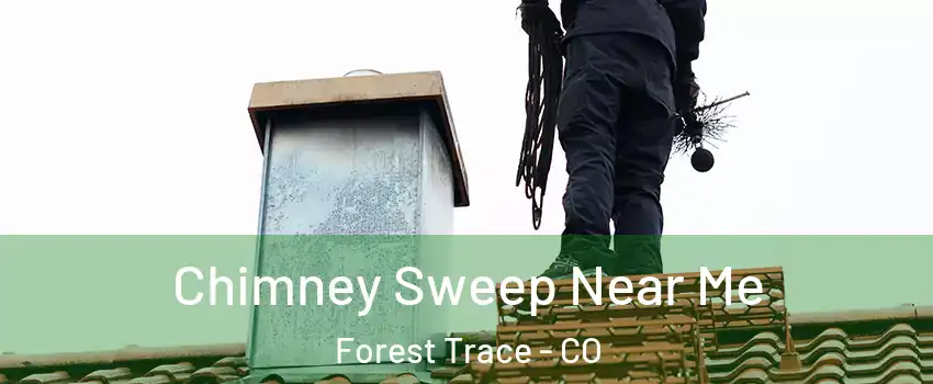 Chimney Sweep Near Me Forest Trace - CO