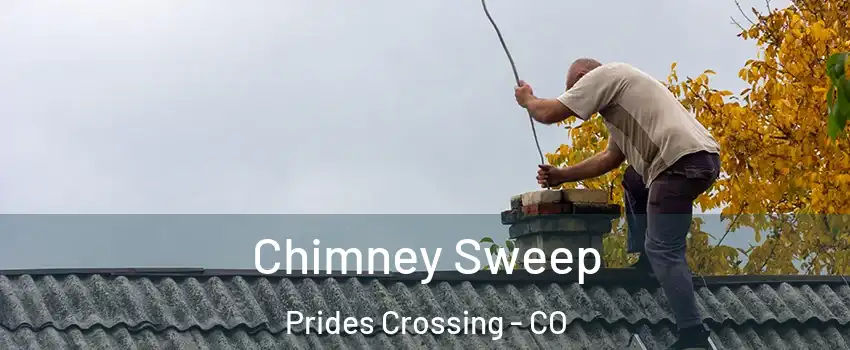 Chimney Sweep Prides Crossing - CO