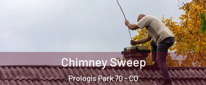 Chimney Sweep Prologis Park 70 - CO