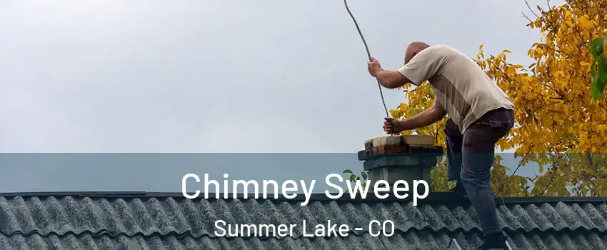 Chimney Sweep Summer Lake - CO