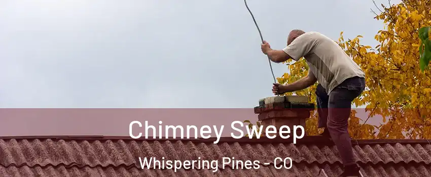 Chimney Sweep Whispering Pines - CO