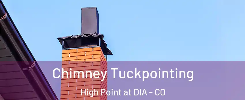 Chimney Tuckpointing High Point at DIA - CO