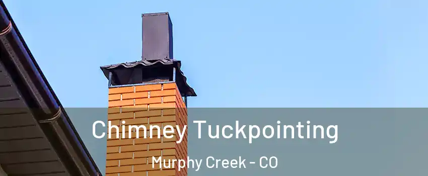 Chimney Tuckpointing Murphy Creek - CO