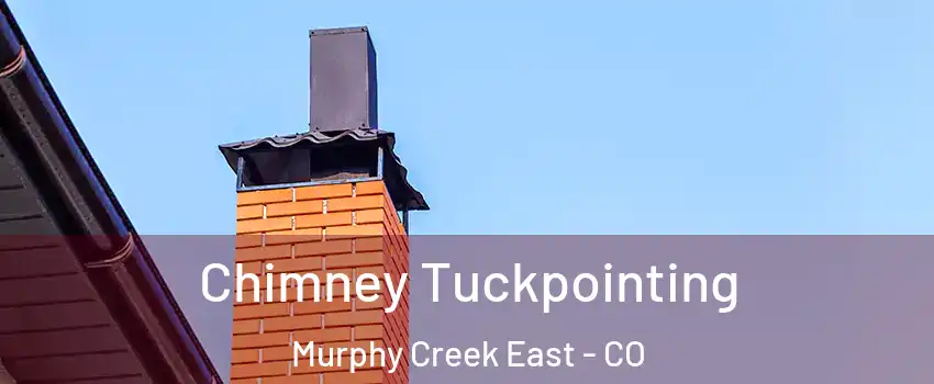 Chimney Tuckpointing Murphy Creek East - CO