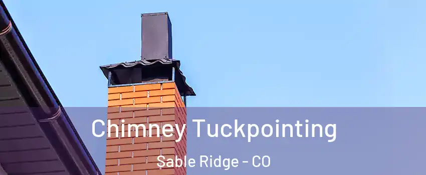 Chimney Tuckpointing Sable Ridge - CO