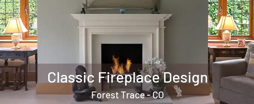 Classic Fireplace Design Forest Trace - CO