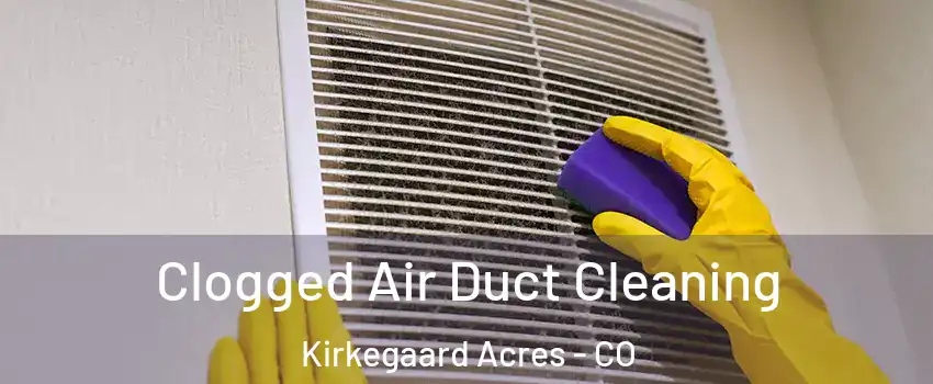 Clogged Air Duct Cleaning Kirkegaard Acres - CO