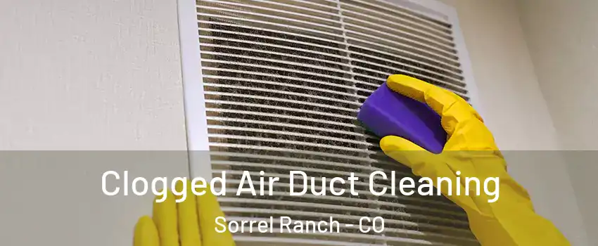 Clogged Air Duct Cleaning Sorrel Ranch - CO