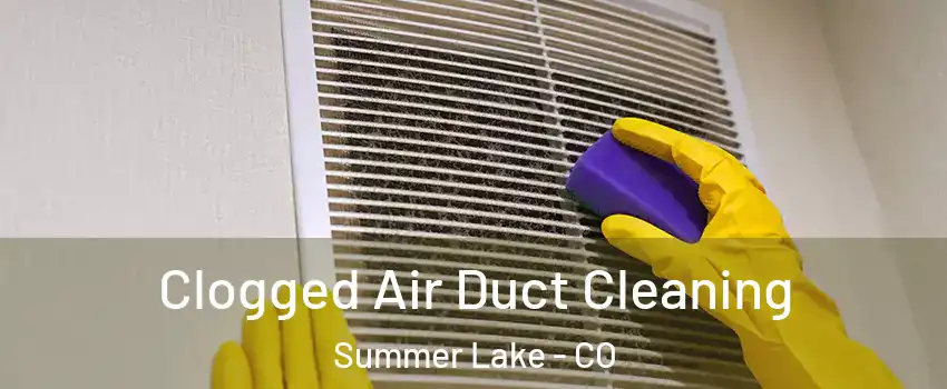Clogged Air Duct Cleaning Summer Lake - CO