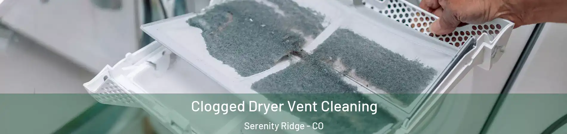 Clogged Dryer Vent Cleaning Serenity Ridge - CO