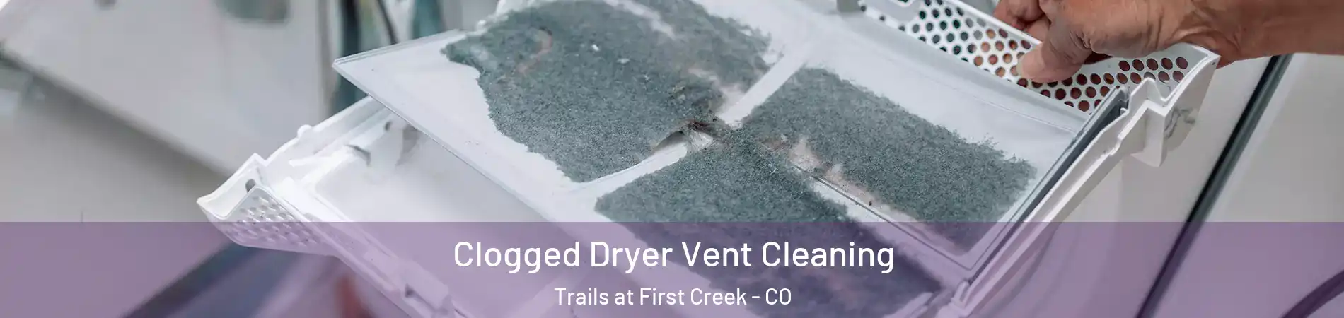 Clogged Dryer Vent Cleaning Trails at First Creek - CO