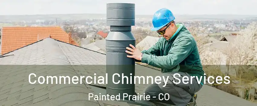 Commercial Chimney Services Painted Prairie - CO