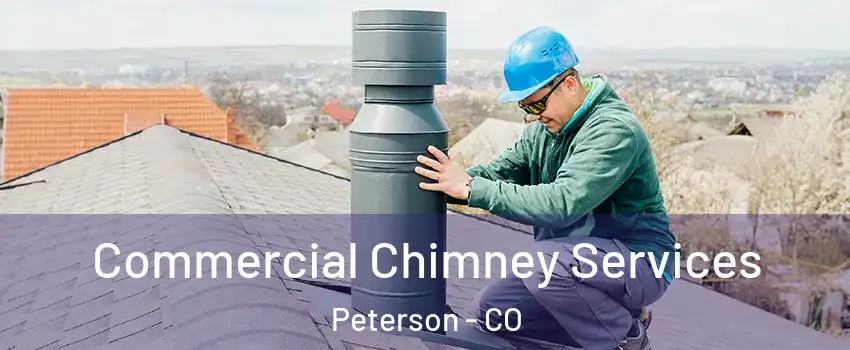 Commercial Chimney Services Peterson - CO