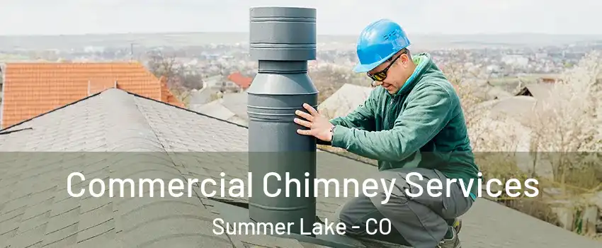 Commercial Chimney Services Summer Lake - CO