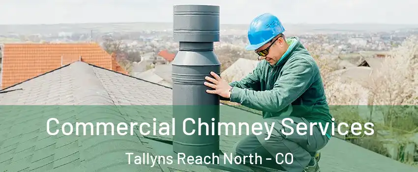 Commercial Chimney Services Tallyns Reach North - CO