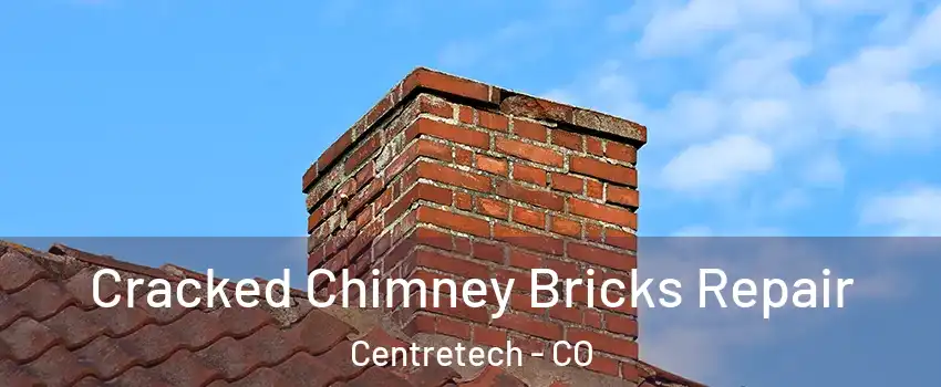 Cracked Chimney Bricks Repair Centretech - CO
